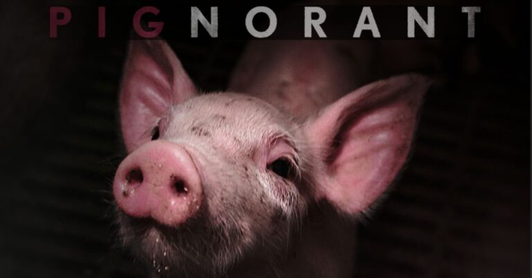 Read more about the article PIGNORANT: A Documentary Exploring the Ethics of Pig Farming