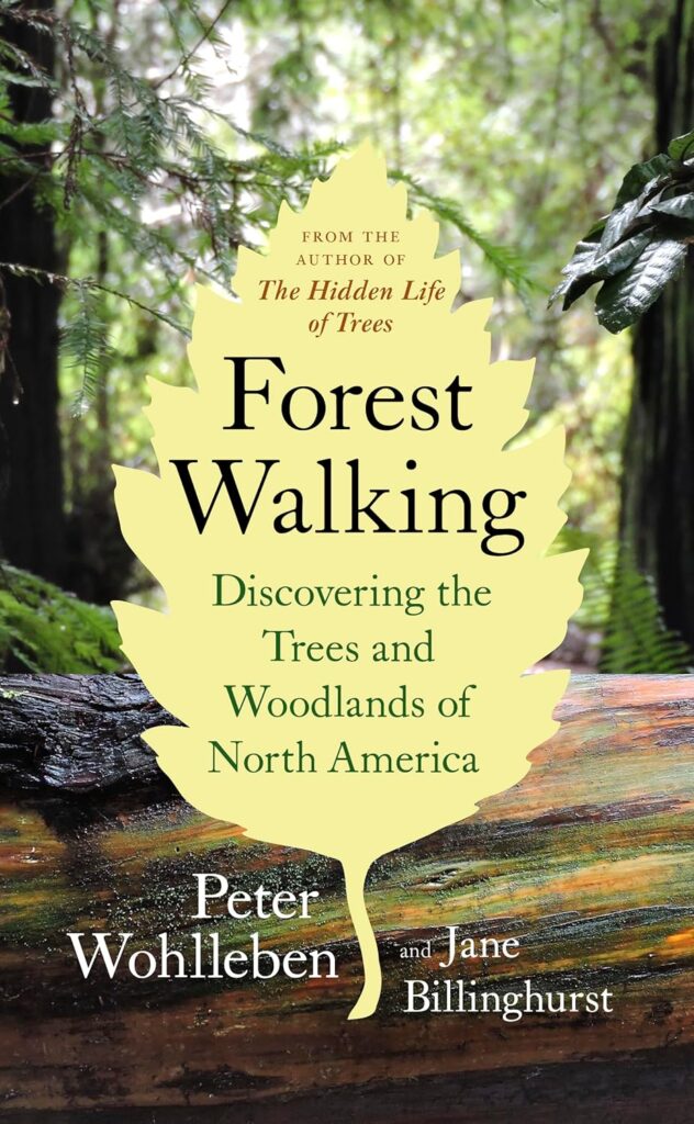 Book Cover: Forest Walking by Peter Wohlleben
