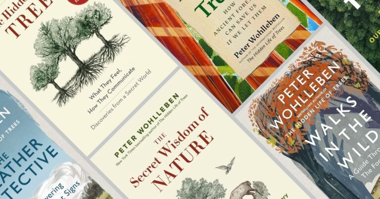 Read more about the article Peter Wohlleben Books in Publication Order