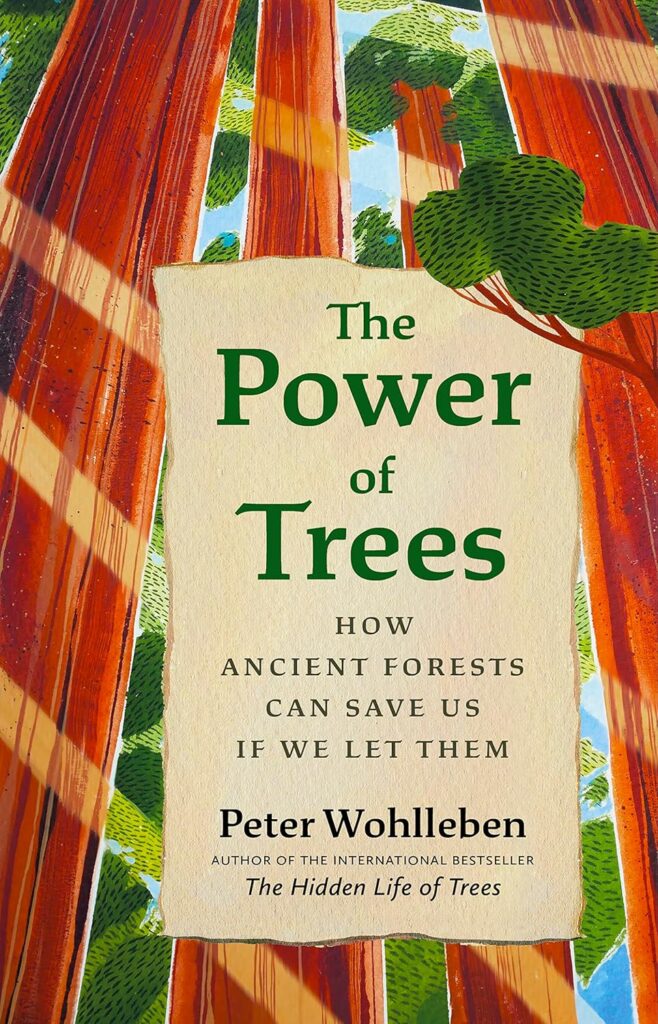 Book Cover: The Power of the trees by Peter Wohlleben